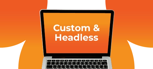 Custom & Headless CMS Solutions illustration